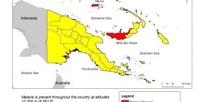 地图上，巴布亚新几内亚的疟疾